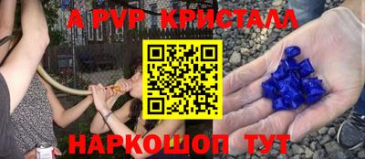 тгк Бийск