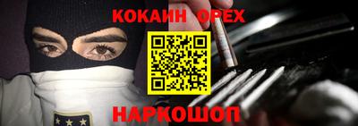 тгк Бийск