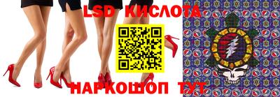 тгк Бийск