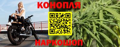 тгк Бийск